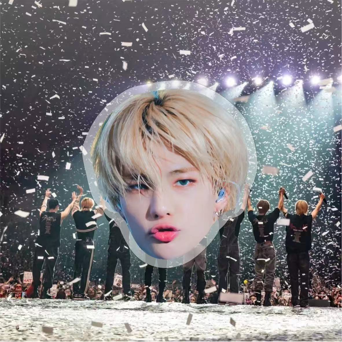 Stray Kids Skzoo Nachimbong Phone Grip, Free Shipping